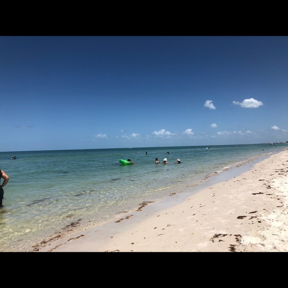 Meet your Posher, Sheila - Picture 1 of 1